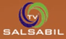 Salsabil TV — قناة سلسبيل logo